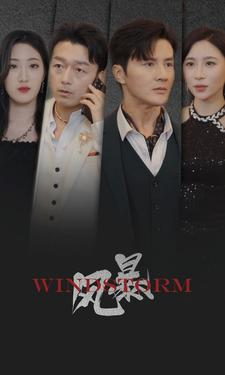 风暴(77集) 风暴(77集)全集免费看短剧