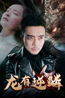 龙有逆鳞(81集) 龙有逆鳞(81集)恋爱短剧分享