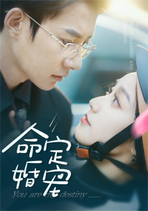 命定婚宠(61集) 命定婚宠(61集)在线观看