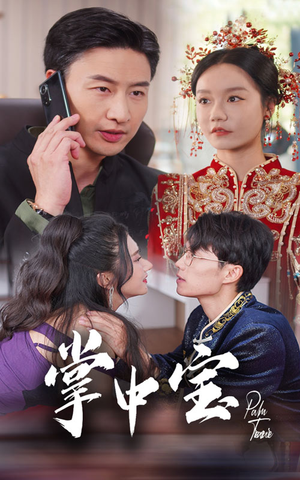 掌中宝（31集）全集完整版