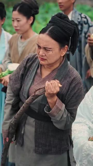 精忠报国（41集）今日短剧分享