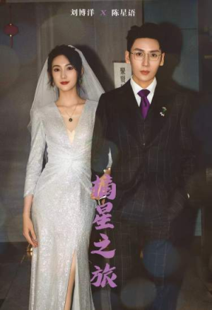 摘星之旅（88集）分享好看短剧