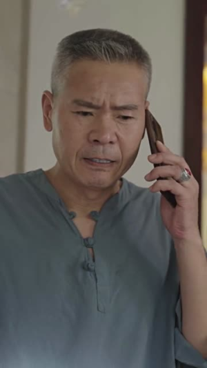 龙城飞将（85集）超好看的短剧