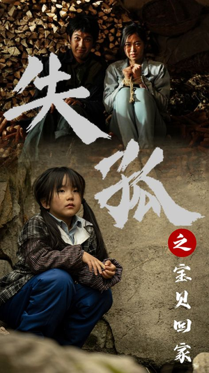 失孤之宝贝回家(71集) 失孤之宝贝回家(71集)热播短剧追不停