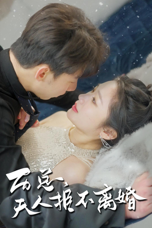 历总，夫人拒不离婚（61集）全集下载