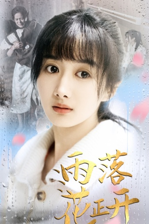 雨落花正开(62集) 雨落花正开(62集)在哪看免费