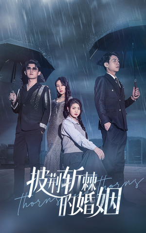 披荆斩棘的婚姻(70集) 披荆斩棘的婚姻(70集)精彩短剧下载
