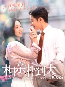 相亲相到大boss(101集) 相亲相到大boss(101集)好看吗