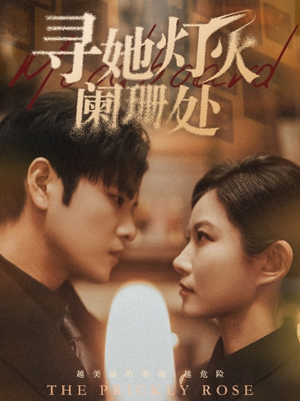 寻她灯火阑珊处(61集) 寻她灯火阑珊处(61集)免费短剧全集看