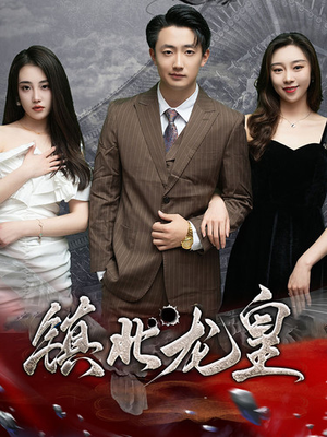 镇北龙帅(97集) 镇北龙帅(97集)看短剧放松一下