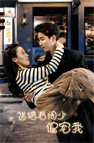 逃婚后阔少偏宠我(80集) 逃婚后阔少偏宠我(80集)评价怎么样