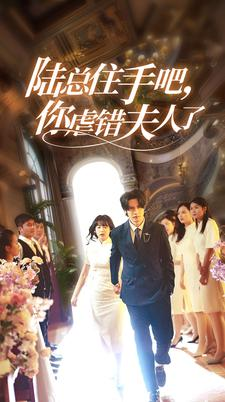 陆总住手吧，你虐错夫人了（80集）不用花钱看全剧