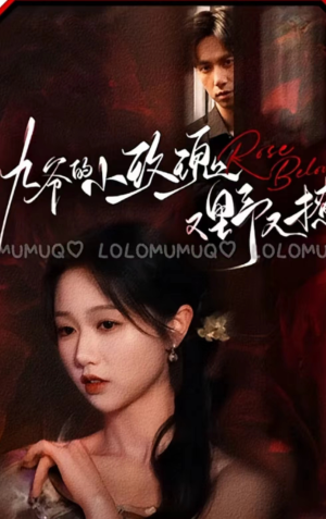 九爷的小玫瑰又野又撩(100集) 九爷的小玫瑰又野又撩(100集)热门了短剧