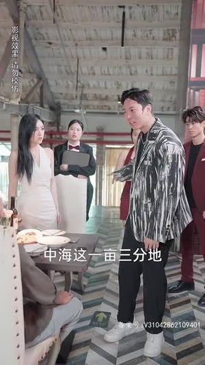 女总裁的上门女婿（104集）全集下载