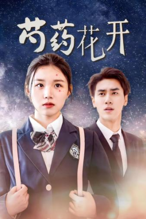 芍药花开(77集) 芍药花开(77集)流畅播放免费看