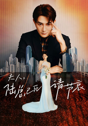 夫人,陆总已死请节哀(95集) 夫人,陆总已死请节哀(95集)短剧完整版免费