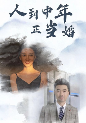 人到中年正当婚(81集) 人到中年正当婚(81集)经典回顾免费看