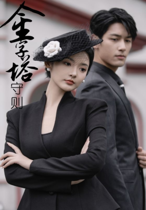 金字塔守则（66集）视频在线看