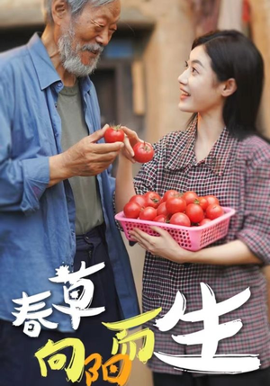 春草向阳而生(53集) 春草向阳而生(53集)在哪个app能看