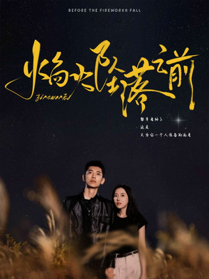 焰火坠落之前(99集) 焰火坠落之前(99集)短剧太精彩