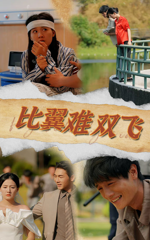 比翼难双飞(30集) 比翼难双飞(30集)古代短剧推荐