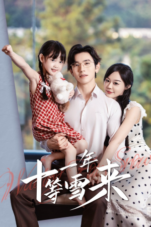 十一年等雪来(50集) 十一年等雪来(50集)超火热门短剧