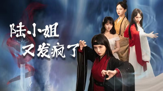 陆小姐又发疯了(28集) 陆小姐又发疯了(28集)经典老剧免费看