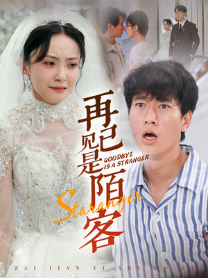 再见已是陌客（55集）排行榜前十短剧