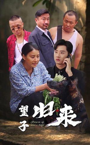 望子归来(50集) 望子归来(50集)热门短剧追到爽