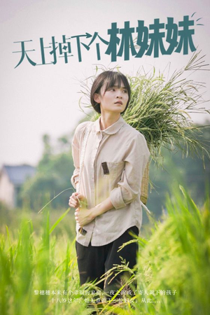 天上掉下个林妹妹(81集) 天上掉下个林妹妹(81集)最新上映免费看