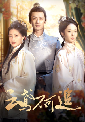 云鸢不可追(42集) 云鸢不可追(42集)高质量短剧推荐