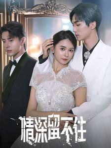 情深留不住(80集) 情深留不住(80集)最新热门短剧