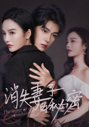 消失妻子的秘密(60) 消失妻子的秘密(60)每日分享短剧