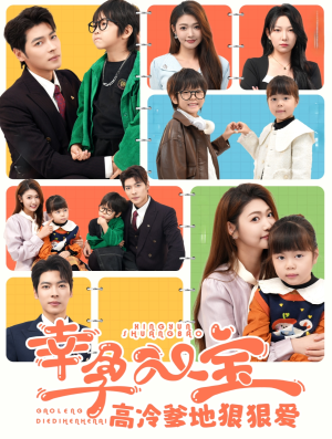 幸孕双宝高冷爹地狠狠爱（80集）免费看短剧全集