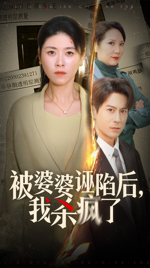 被婆婆诬陷后我杀疯了(30集) 被婆婆诬陷后我杀疯了(30集)评价怎么样