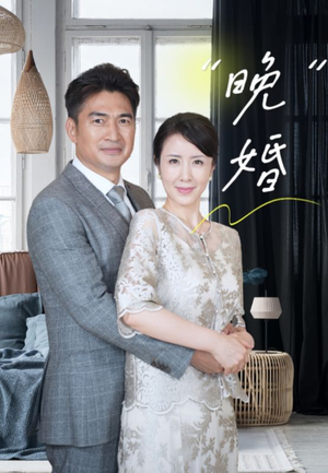 晚婚(65集) 晚婚(65集)原创精彩短剧