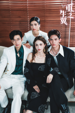 重生之翼(56集) 重生之翼(56集)80到100集