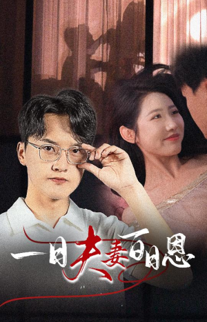 一日夫妻百日恩(30集) 一日夫妻百日恩(30集)无需会员免费看