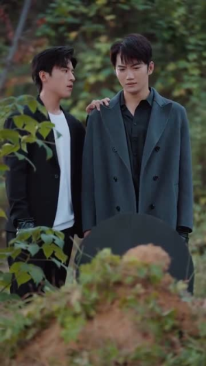 双生风云（92集）一口气看完