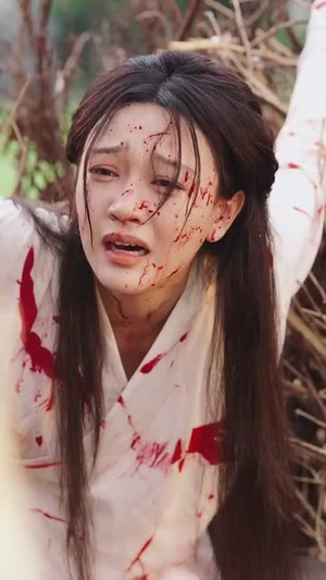 宫墙今夜有雪（84集）在线看