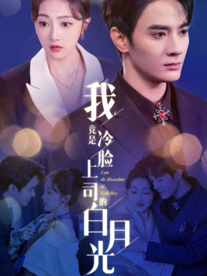 我竟是冷脸上司的白月光(80集) 我竟是冷脸上司的白月光(80集)网盘在线观看