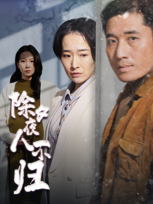 除夕夜人不归(47集) 除夕夜人不归(47集)精彩短剧合集