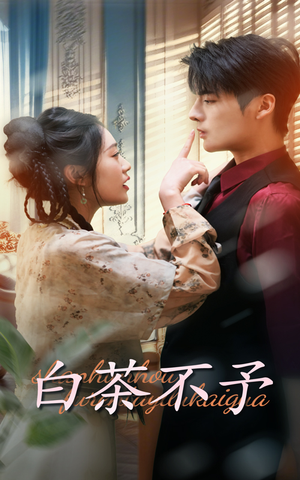 白茶不予(68集) 白茶不予(68集)看到大结局