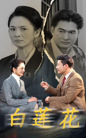 白莲花（40集）在线免费观看