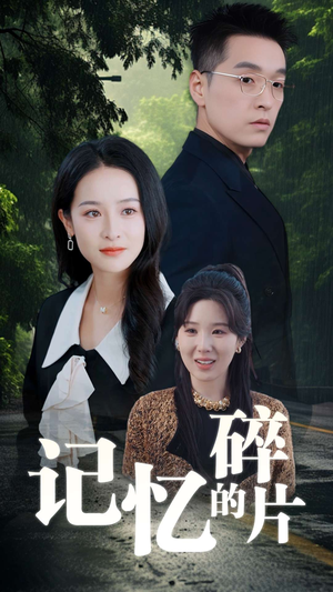 记忆的碎片(50集) 记忆的碎片(50集)短剧中追到爽