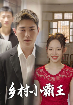 乡村小霸王(80集) 乡村小霸王(80集)全集