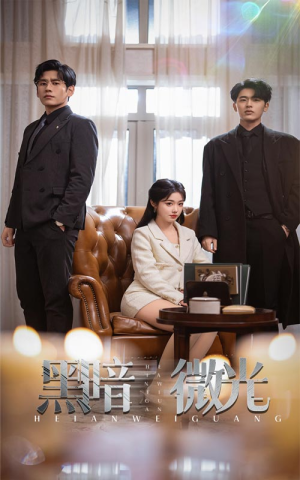 黑暗微光(66集) 黑暗微光(66集)看到大结局