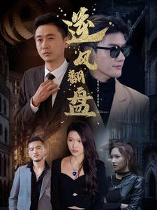 新:逆风翻盘(94集) 新:逆风翻盘(94集)短剧更新抢先看