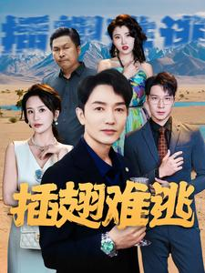 插翅难逃(43集) 插翅难逃(43集)精彩短剧看全集