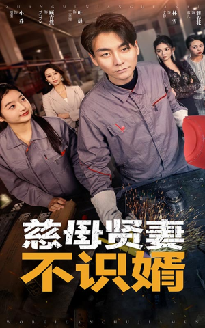 慈母贤妻不识婿(45集) 慈母贤妻不识婿(45集)精彩好看的短剧